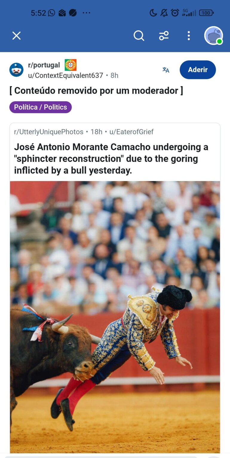 どうして闘牛反対の支柱が撤去されるのでしょうか？