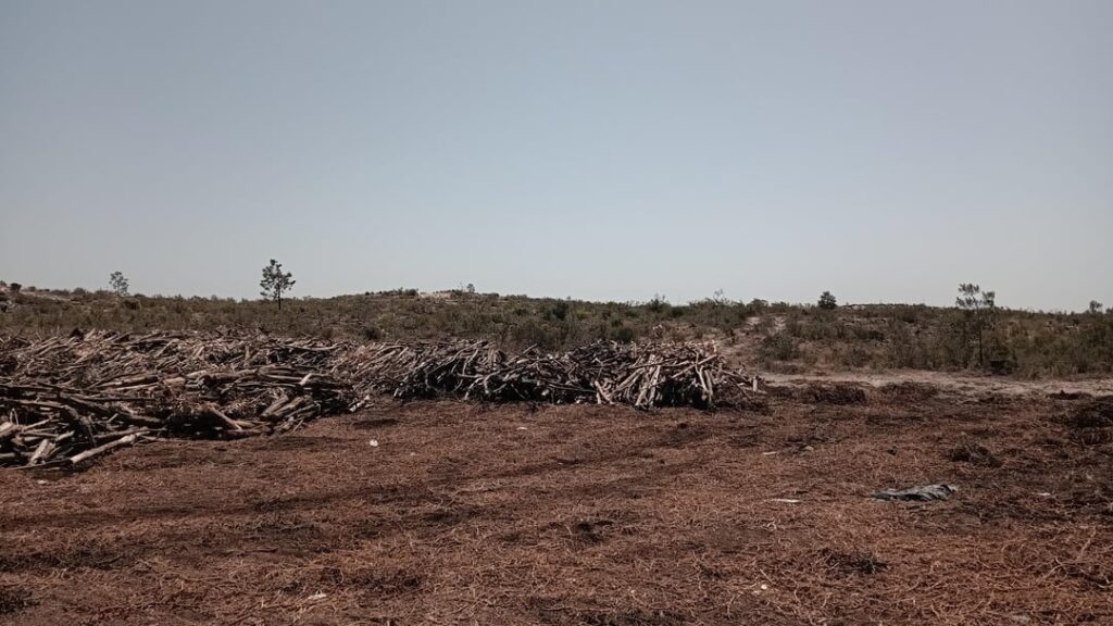 トロイで起こる恥辱