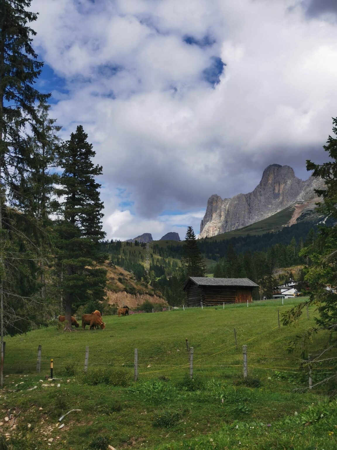 カフェ イタリア * 25/04/26