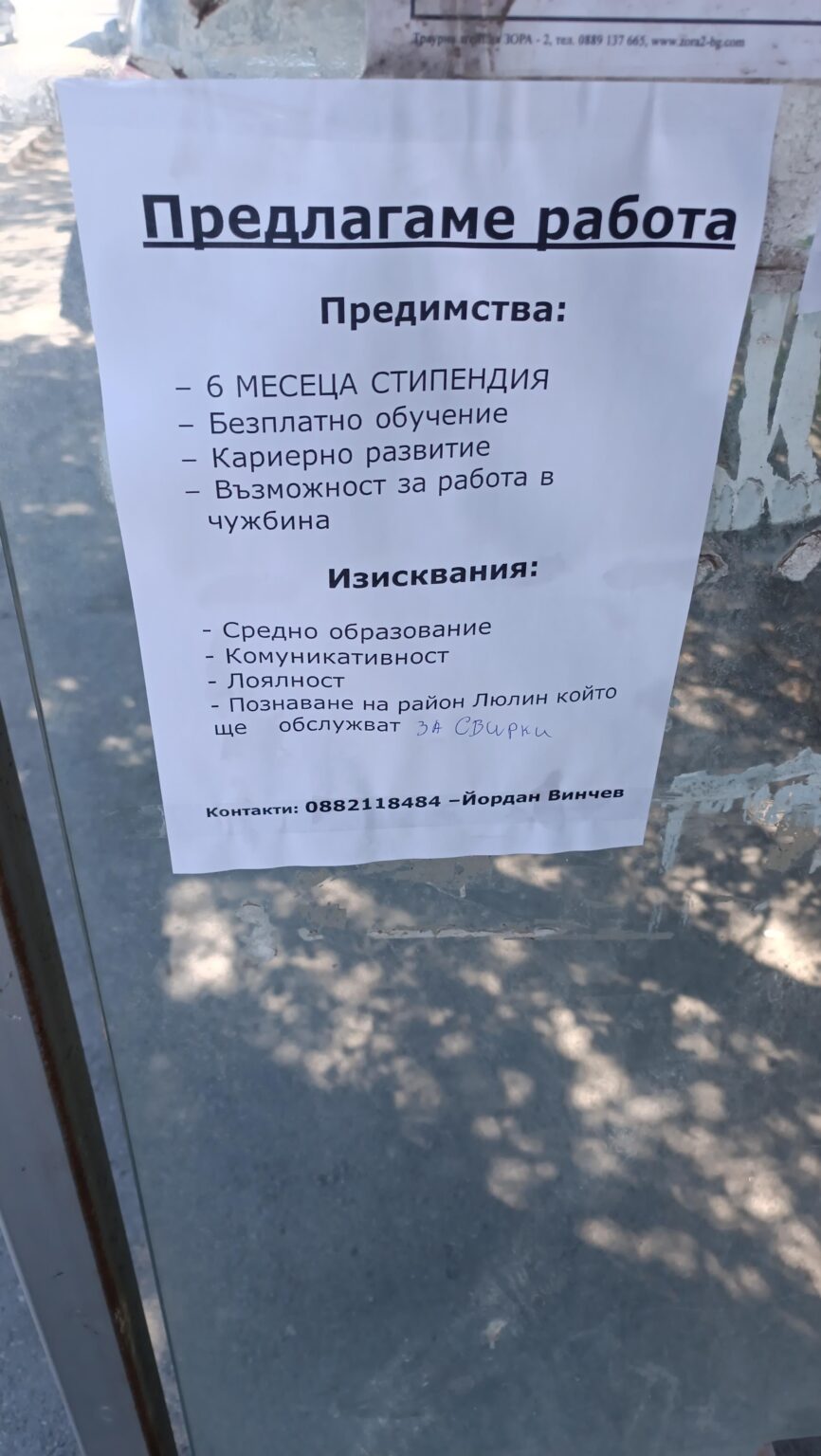 これはどんな作品だと思いますか？