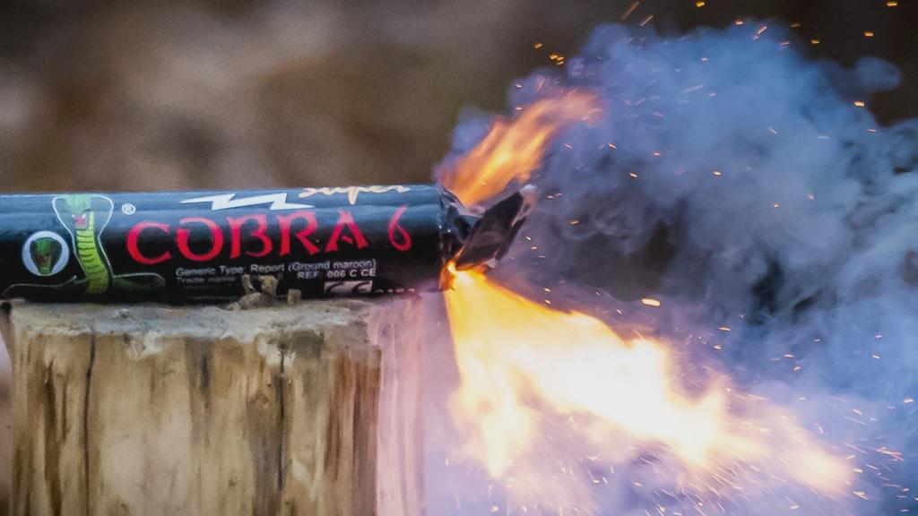 EUの新しい花火法制定中、欧州でのコブラ禁止に期待