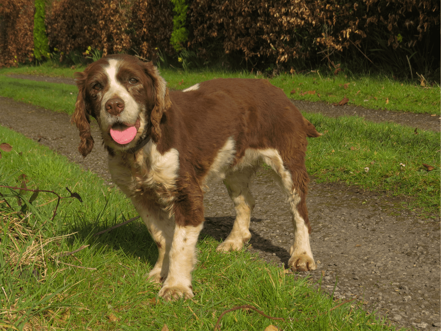 素晴らしい17年間でした。 素晴らしい17年間でした。