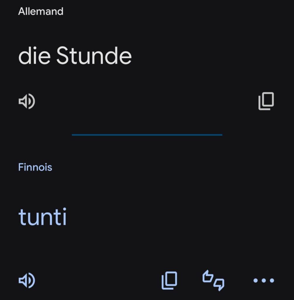 「ゲルマン語をどこまで貶めるつもりですか？」フィンランド語: はい