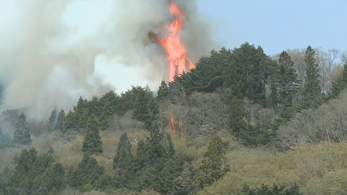 山林火災で大規模支援 岩手県大槌町に山形県内11消防本部から124人派遣 消火と指揮にあたる