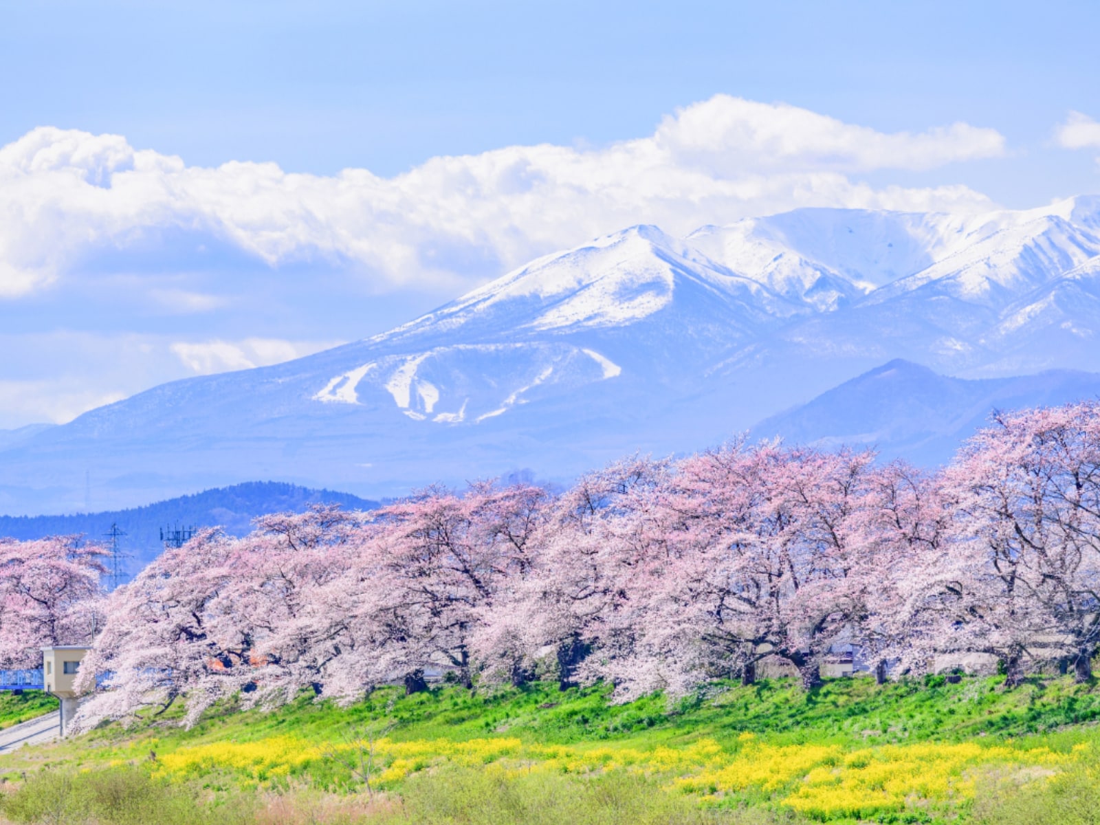 春に行きたいと思う「宮城県の旅行先」ランキング