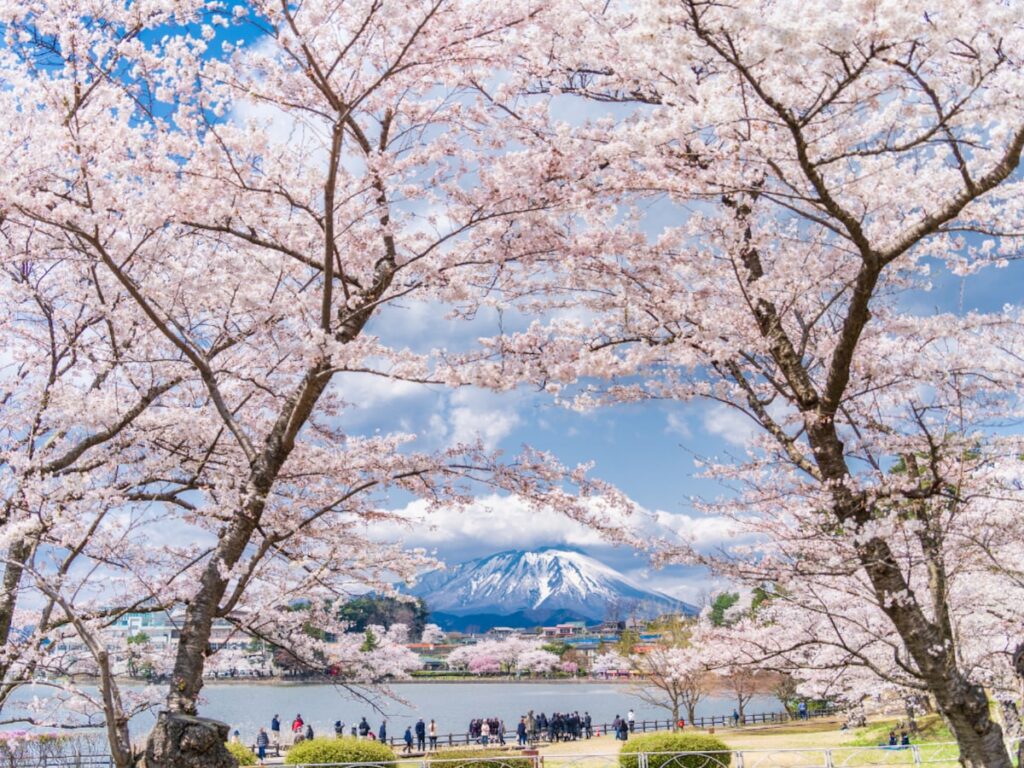 春に行きたいと思う「岩手県の旅行先」ランキング！ 2位「盛岡市」を抑えた1位は？【2026年調査】 - All About ニュース