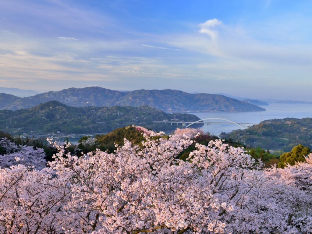 「高台からの景色も良く」愛媛県の“行ってみたい＆好きな桜の名所”TOP5！ 1位に選ばれたのは？【2026年調査】 - All About ニュース