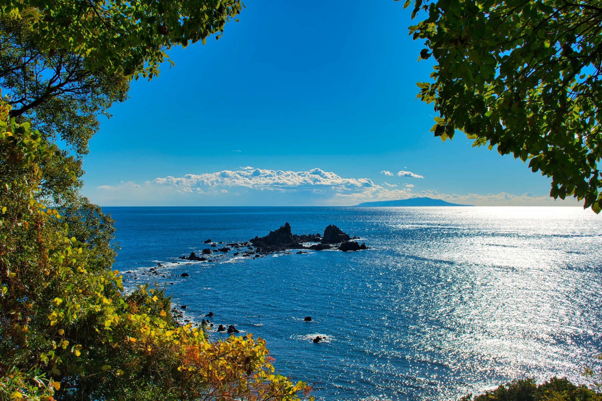 「神奈川県の物件駅」ランキング