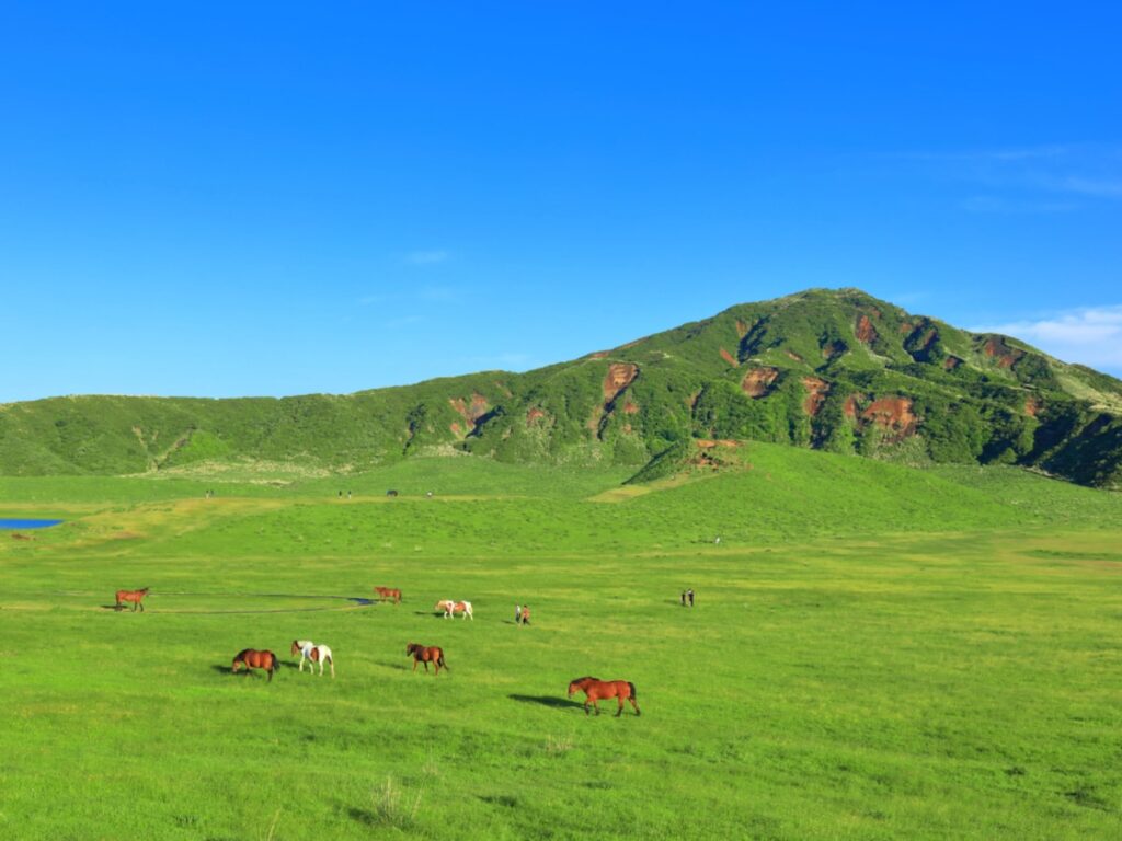 【20代男女251人に聞いた】春に行きたい「熊本県の旅行先」ランキング！2位「阿蘇」を抑えた1位は？【2026年調査】 - All About ニュース