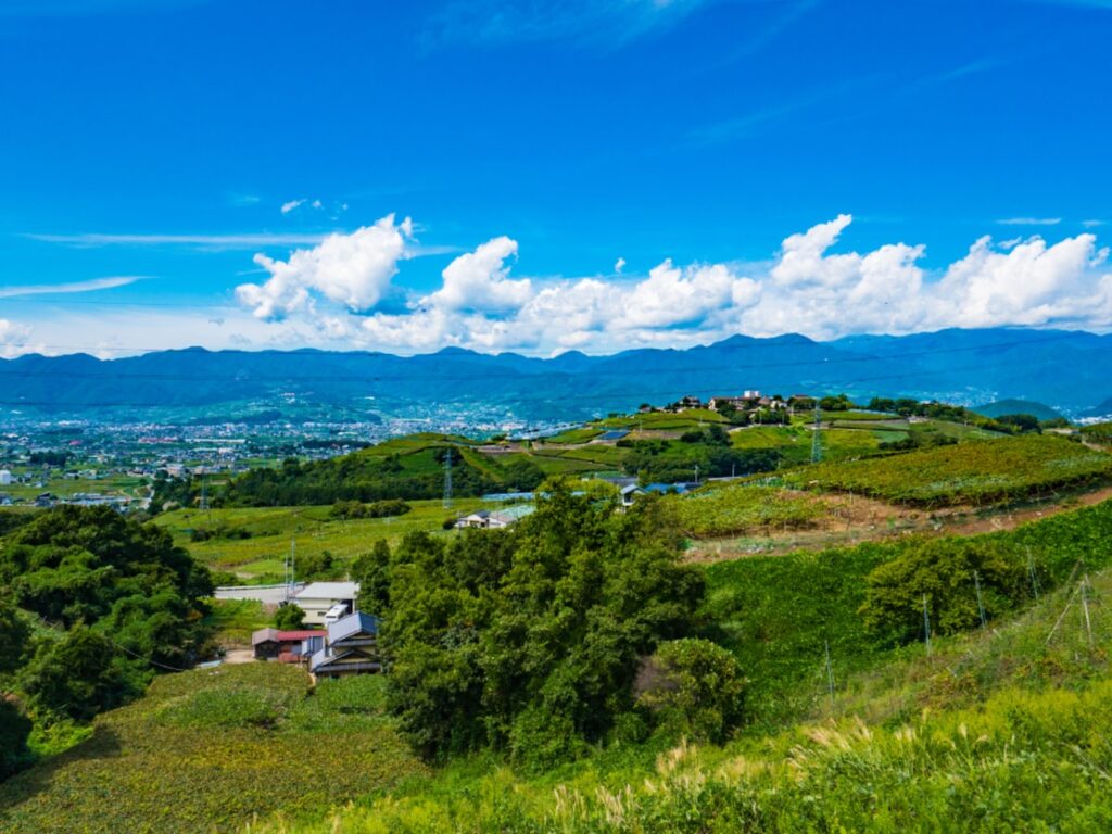 春に行きたいと思う「山梨県の旅行先」ランキング！ 2位「甲州市勝沼 ぶどうの丘」、1位は？【2026年調査】 - All About ニュース