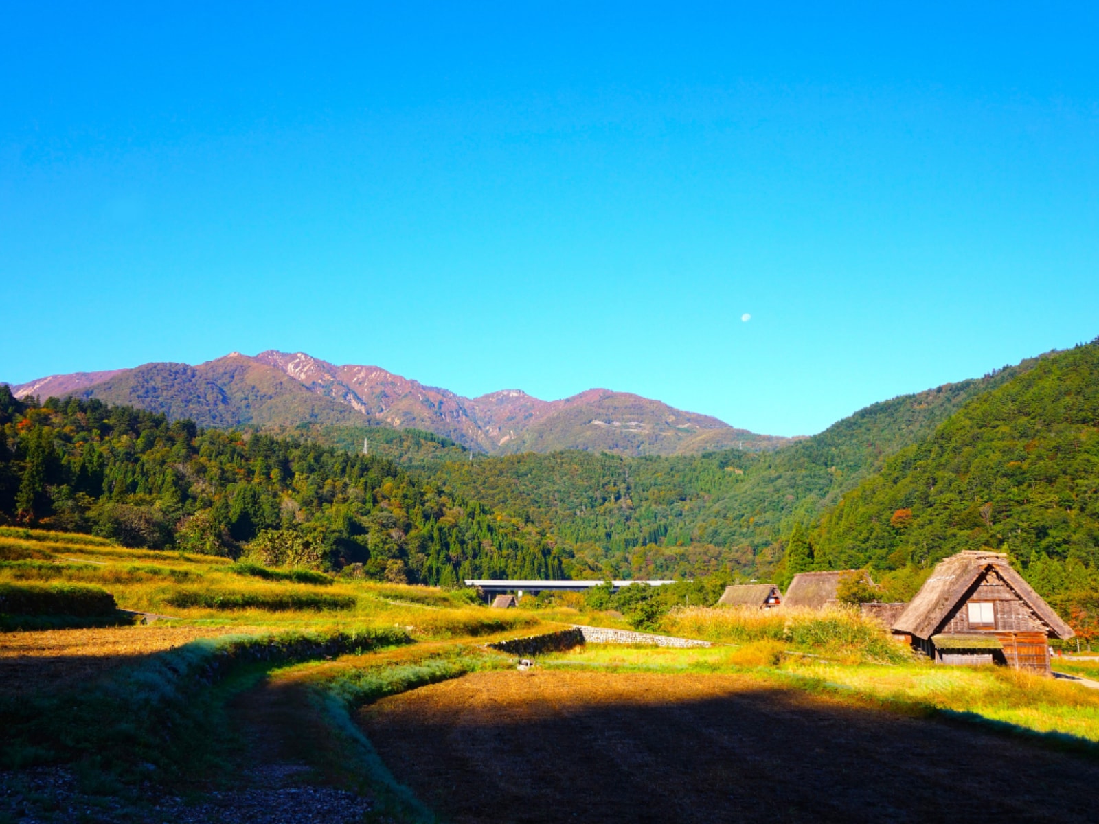 「春に行きたいと思う岐阜県の旅行先」ランキング