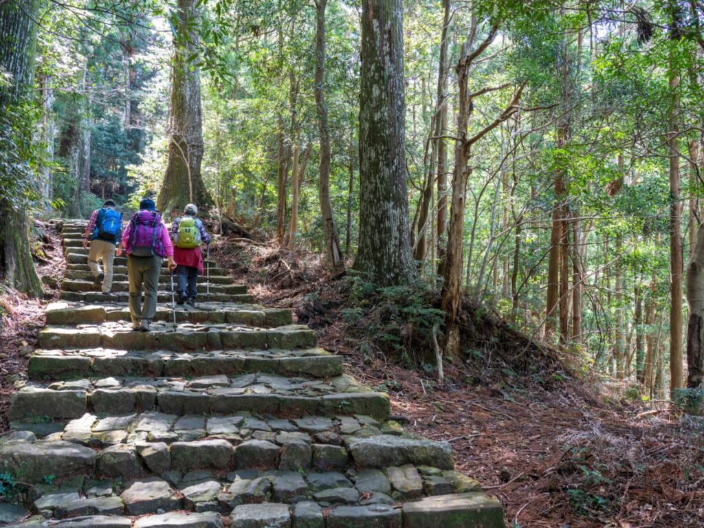 春に行きたいと思う「和歌山県の旅行先」ランキング！ 2位「熊野古道」を抑えた1位は？【2026年調査】 - All About ニュース
