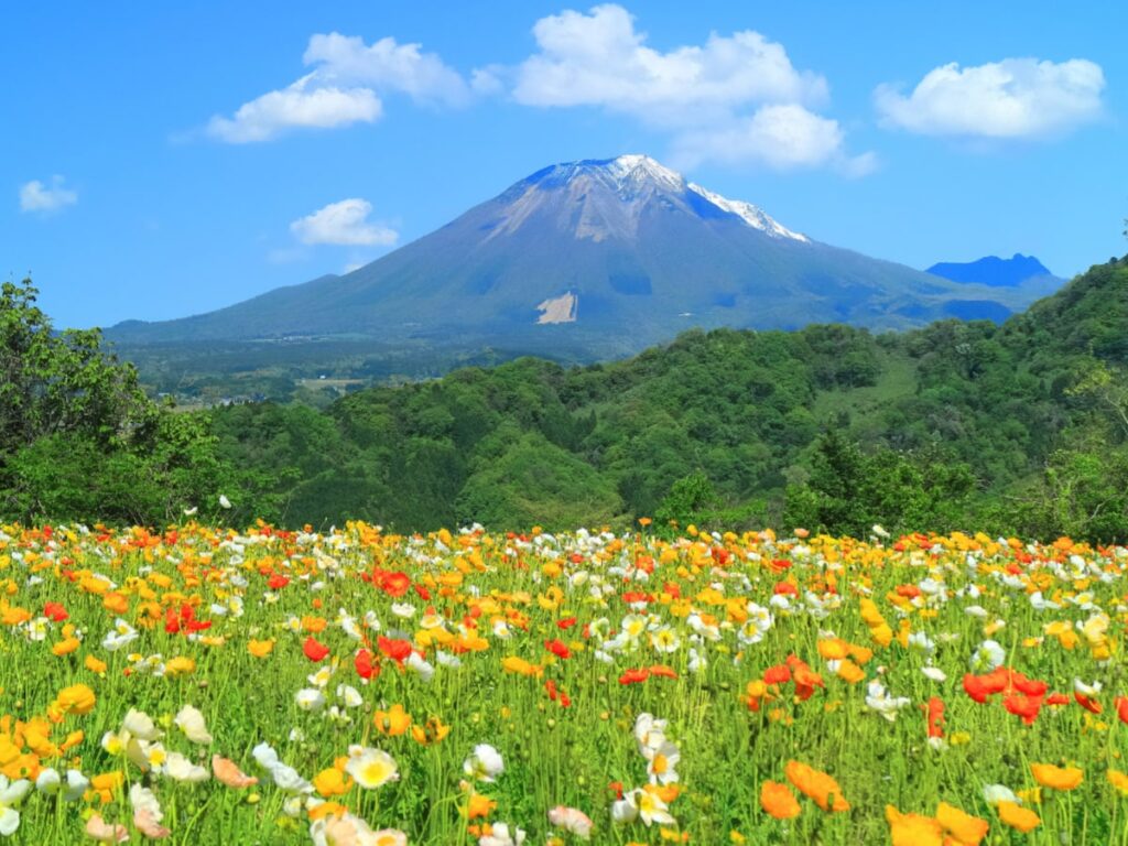 春に行きたいと思う「鳥取県の旅行先」ランキング！ 2位「とっとり花回廊」を抑えた1位は？【2026年調査】 - All About ニュース