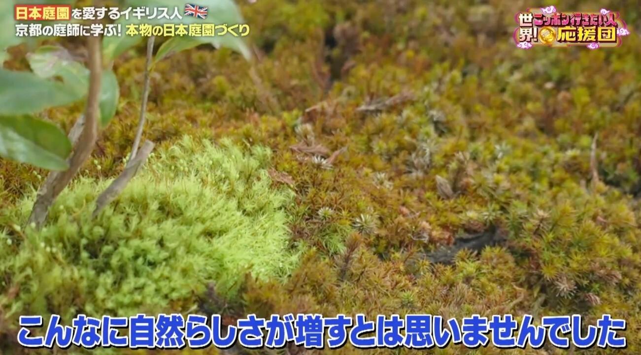 本物の日本庭園づくりに挑戦！イギリス男性が京都の庭師に職人技を学ぶ：世界！ニッポン行きたい人応援団