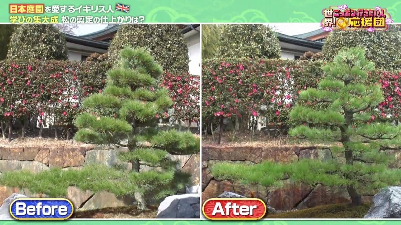 本物の日本庭園づくりに挑戦！イギリス男性が京都の庭師に職人技を学ぶ：世界！ニッポン行きたい人応援団