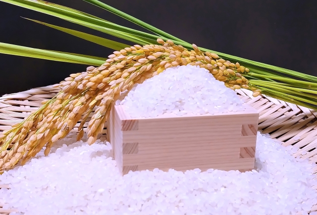 蓬莱米100周年：福岡県出身の農業技師が変えた台湾の食文化 | 無料のアプリでラジオを聴こう！ | radiko news(ラジコニュース)