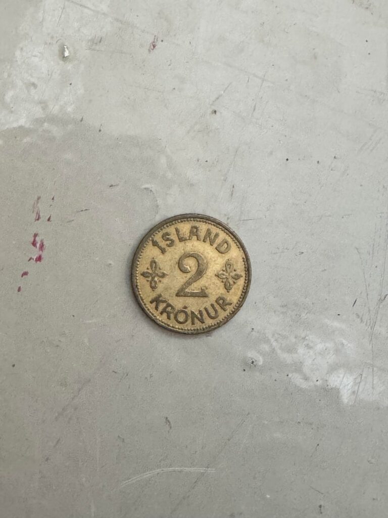 こんなお金見たことない :o