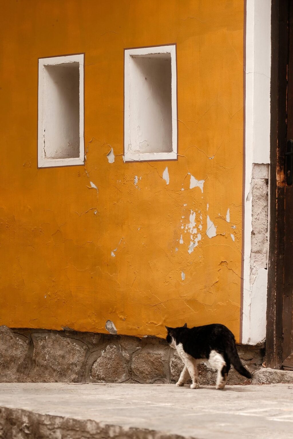 暖かいプロブディフに来てください