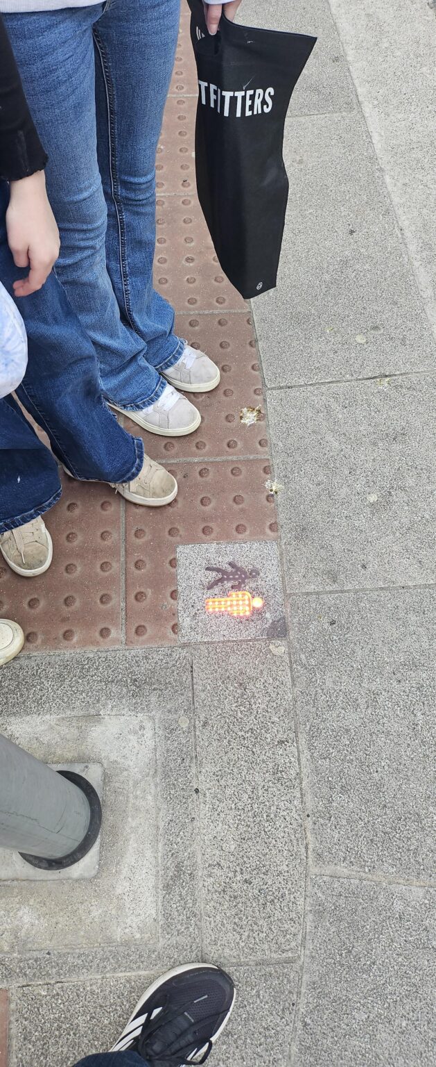 ダブリンのタウンゼント・ストリートの横断歩道に設置された歩行者用信号機。おそらく道路に注意を払って携帯電話を操作している人々のためのものと思われる