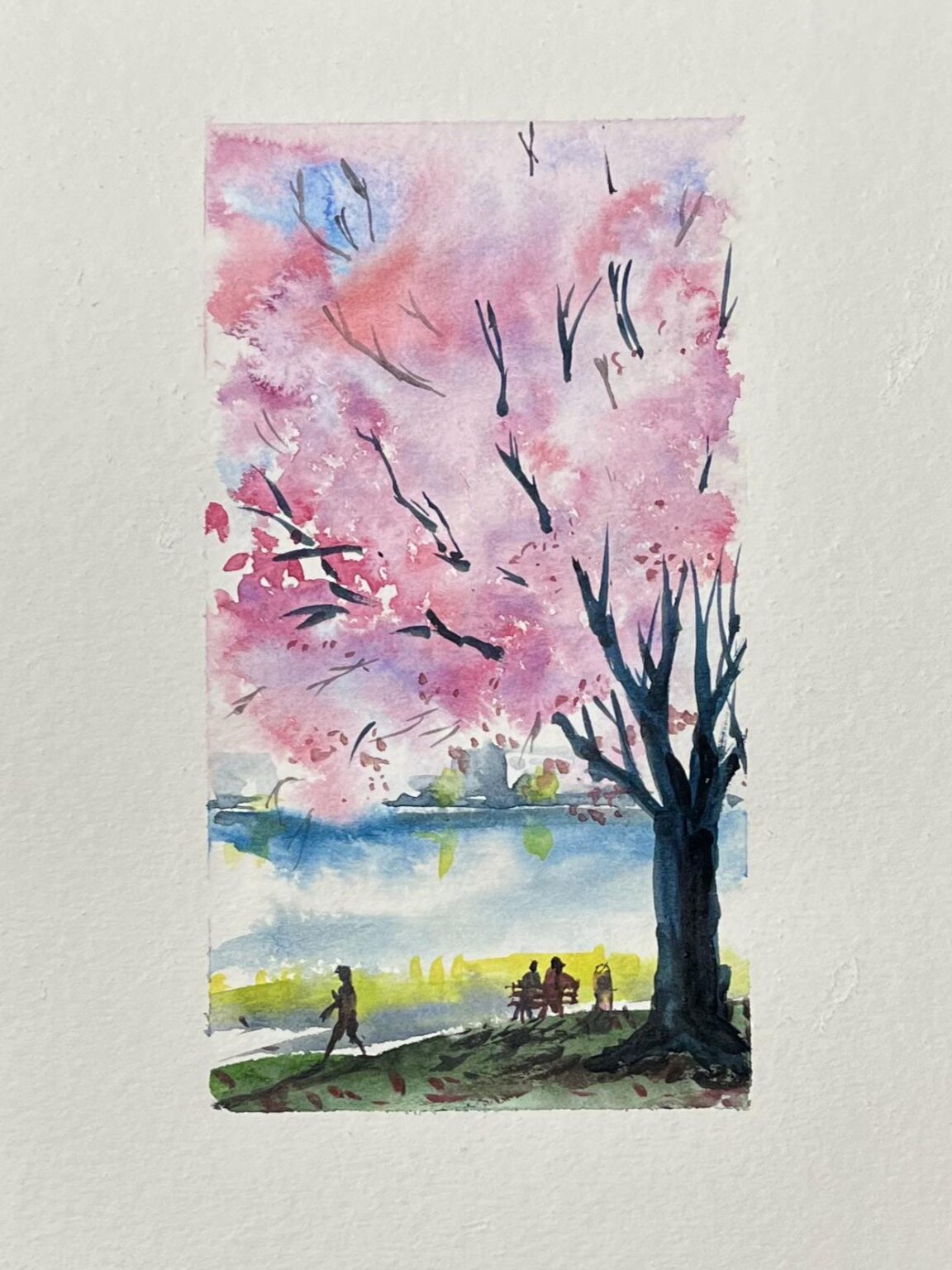 この場所はとても平和に見えたので、ペイントしなければなりませんでした 🎨