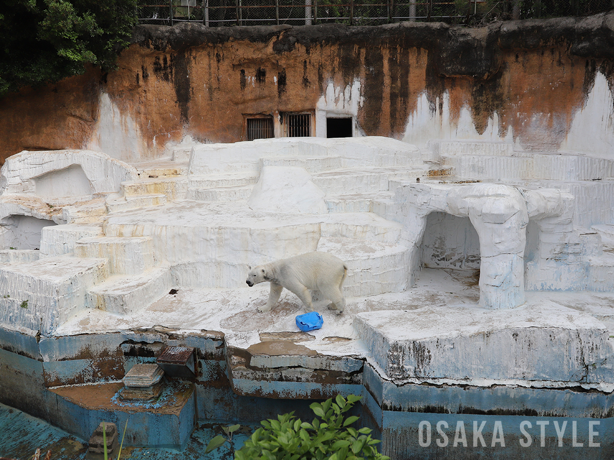 天王寺動物園 ホッキョクグマ舎