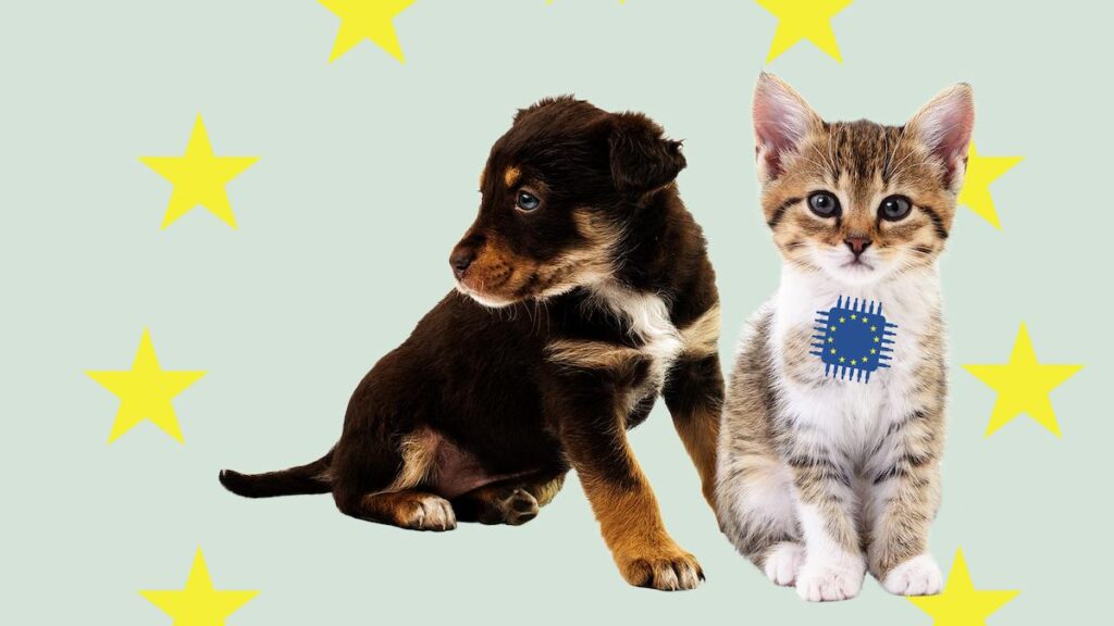すべての犬と猫にはチップのタグが付けられなければならない：EUは子犬工場と違法取引を停止する