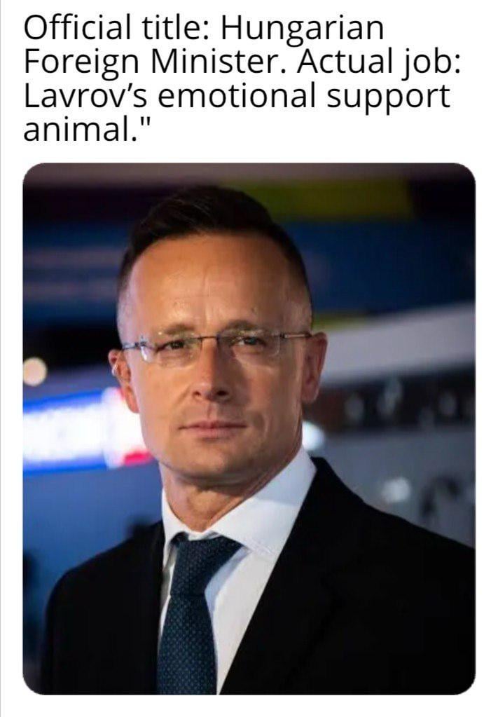 シヤルト: ラヴロフのお気に入りの愛犬。 『拒否権』や『天然ガス』を聞くたびにしっぽを振るのです。」