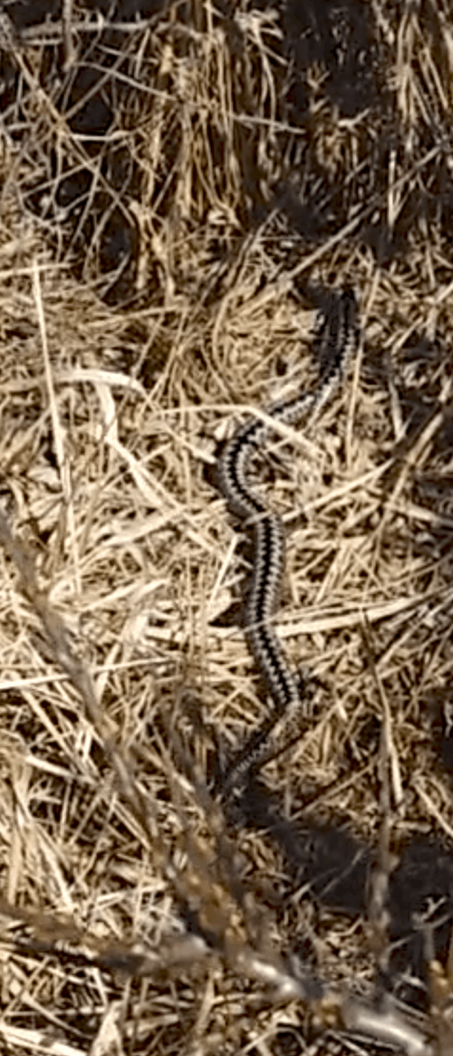 ここで誰に会いましたか？