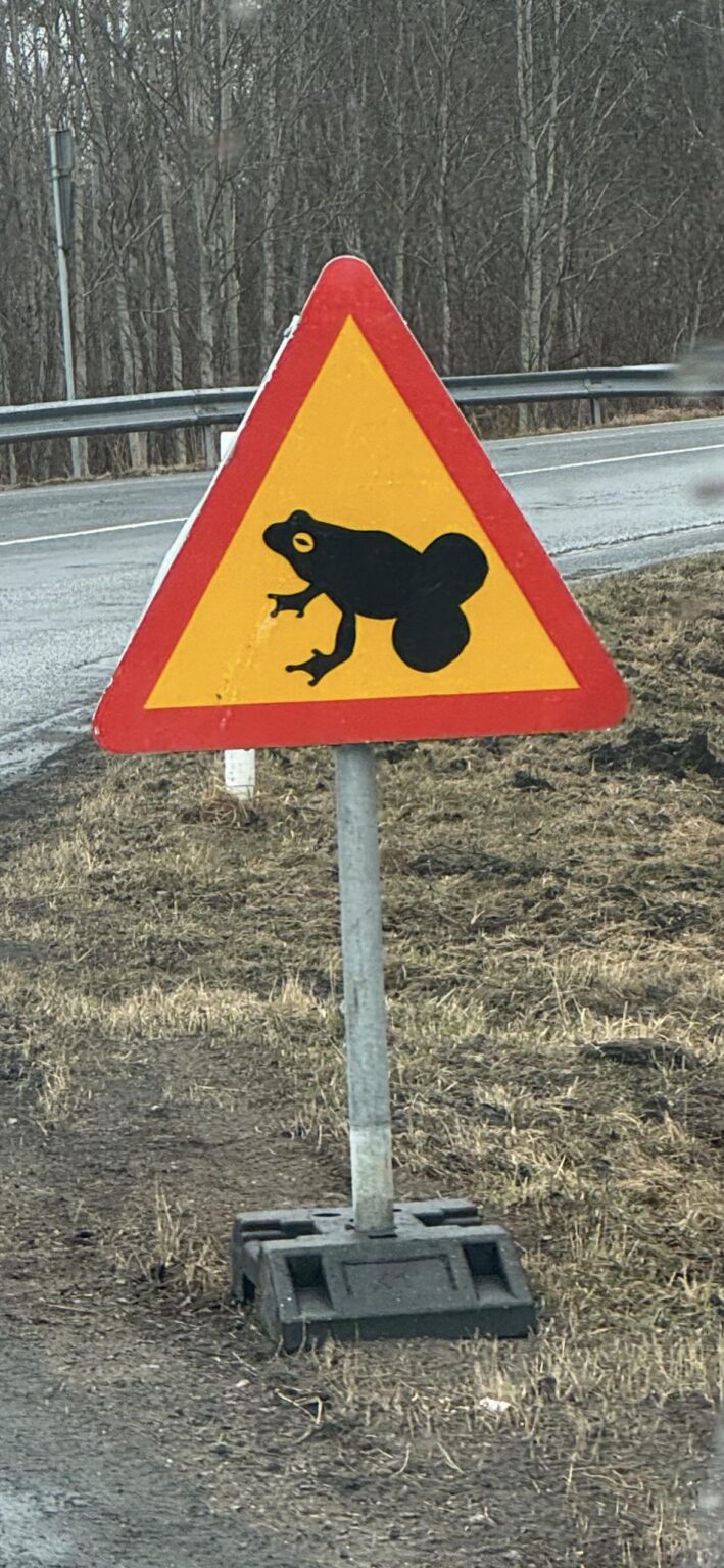 興味深い道路標識