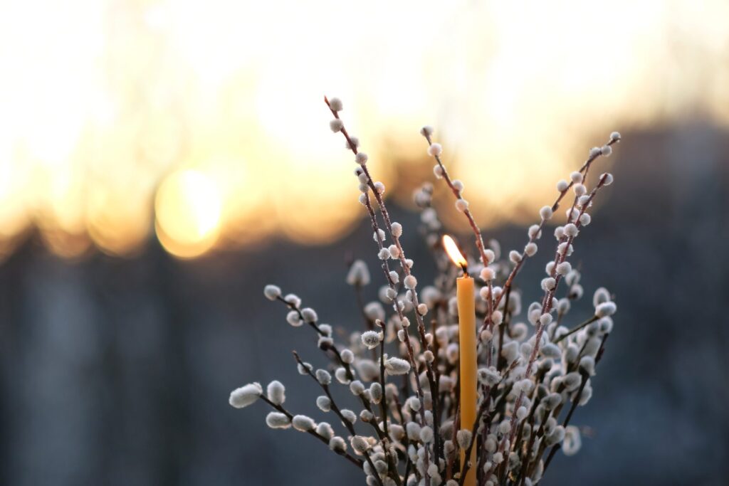 AdobeStock 1901363120