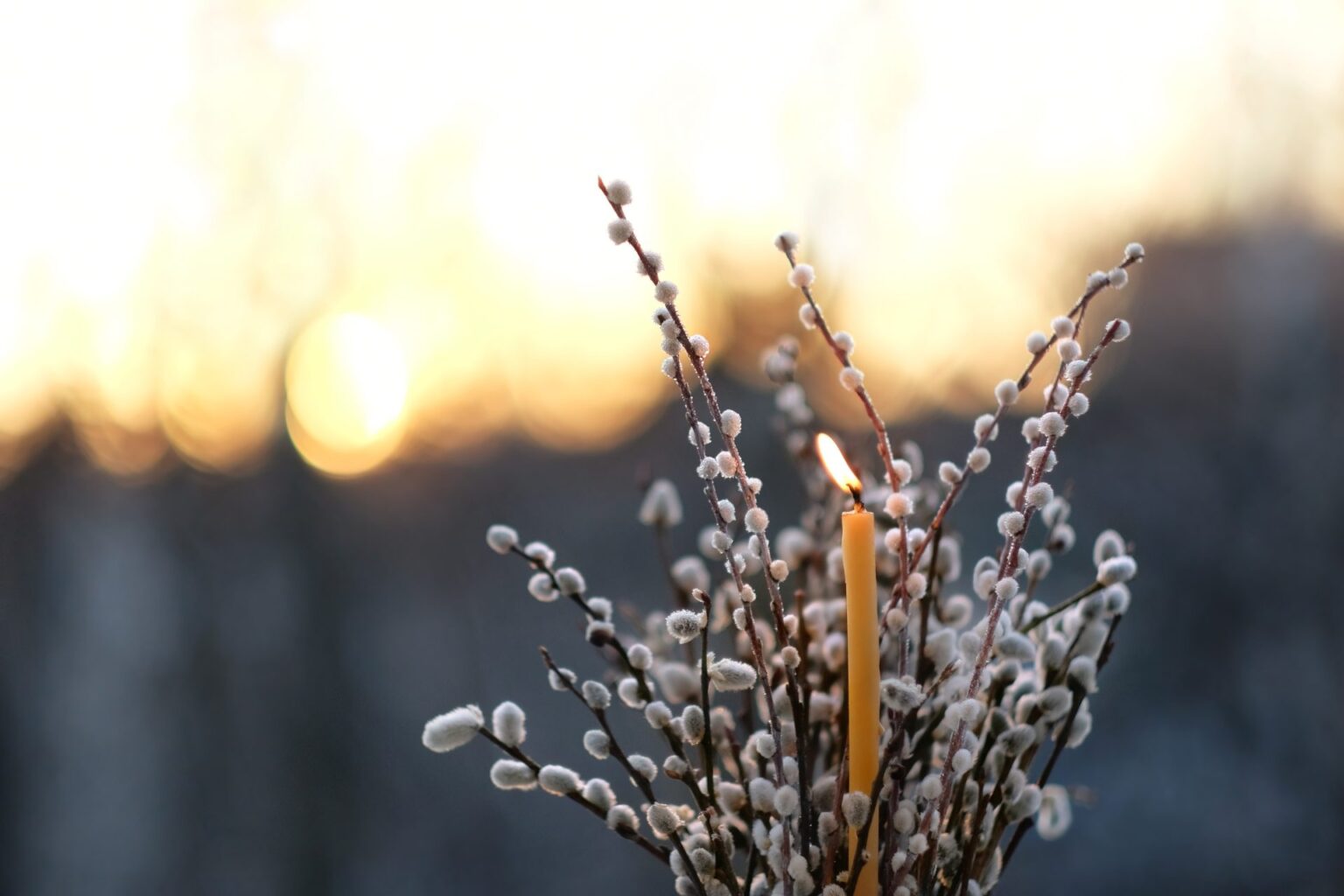 AdobeStock 1901363120