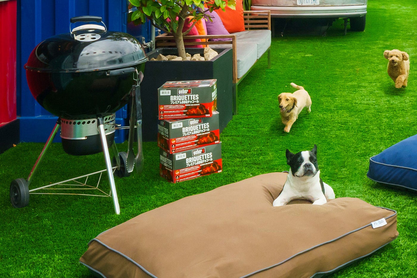 DOG RUN & BBQ Beer Garden／提供画像