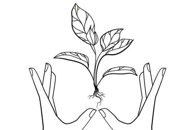 自然保護について