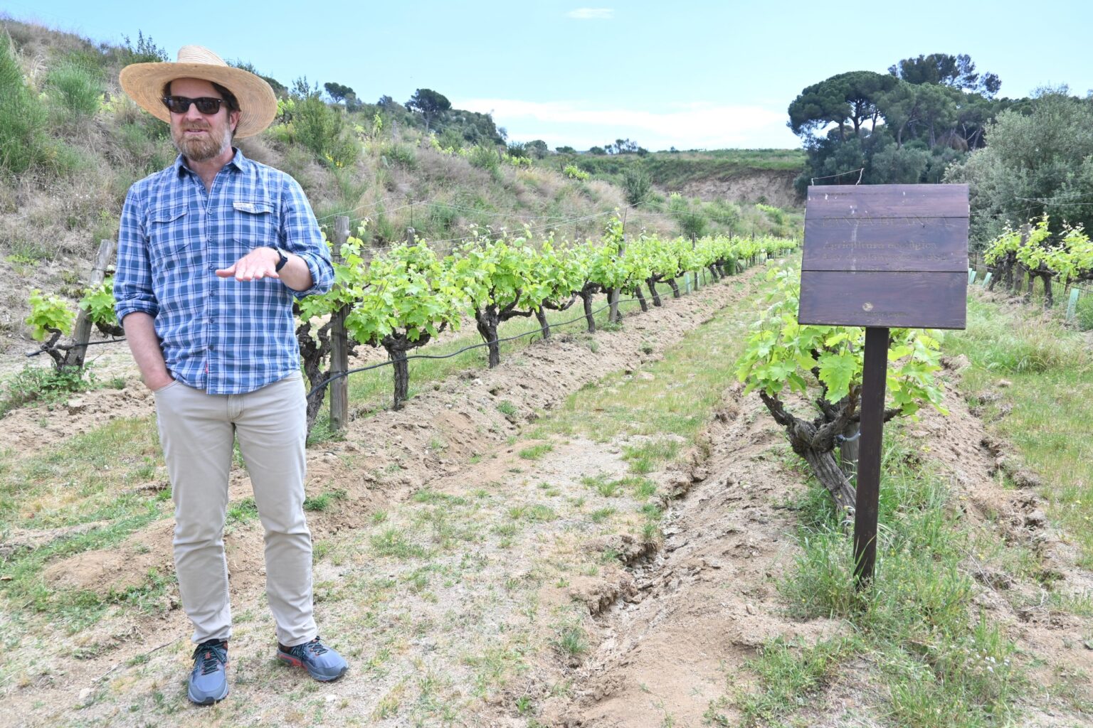 バルセロナから20分！　地中海を臨むワイナリーで至福のひとときを｜EXPAT by クーリエ・ジャポン