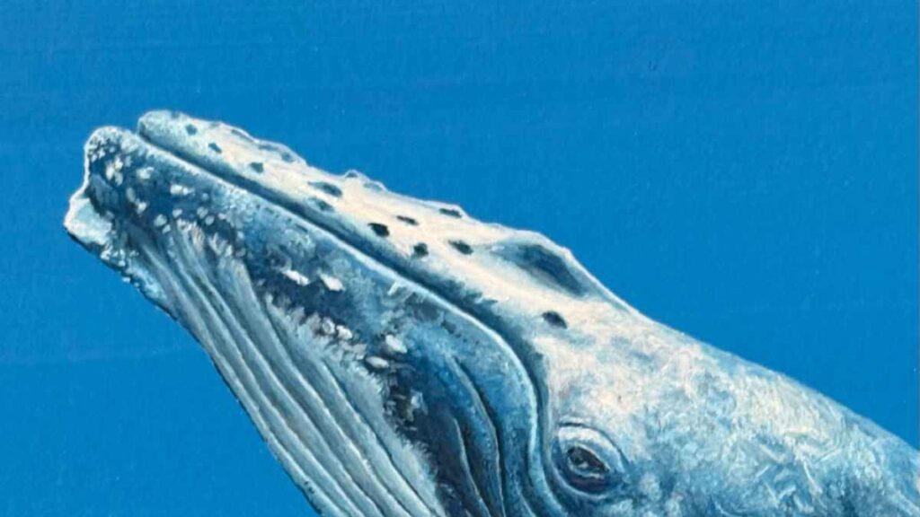 MY OWN PROMPT KUMAMOTO 黒田 修水 ジクレー版画展 in TSUTAYA BOOKSTORE 菊陽｜お出かけ情報｜熊本日日新聞社