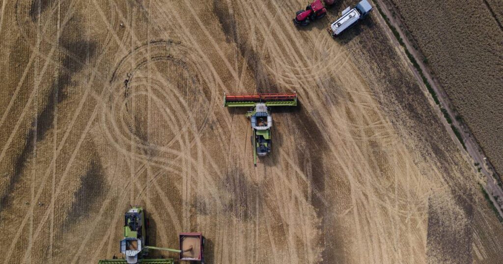 ゼレンスキー氏、エジプトはロシアが輸出するウクライナ産小麦を受け入れないと発言