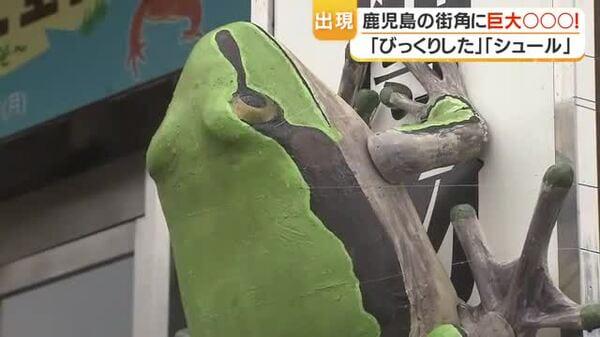 巨大アマガエル出現 鹿児島市の県立博物館前に全長約1メートルの手作りオブジェ展示中