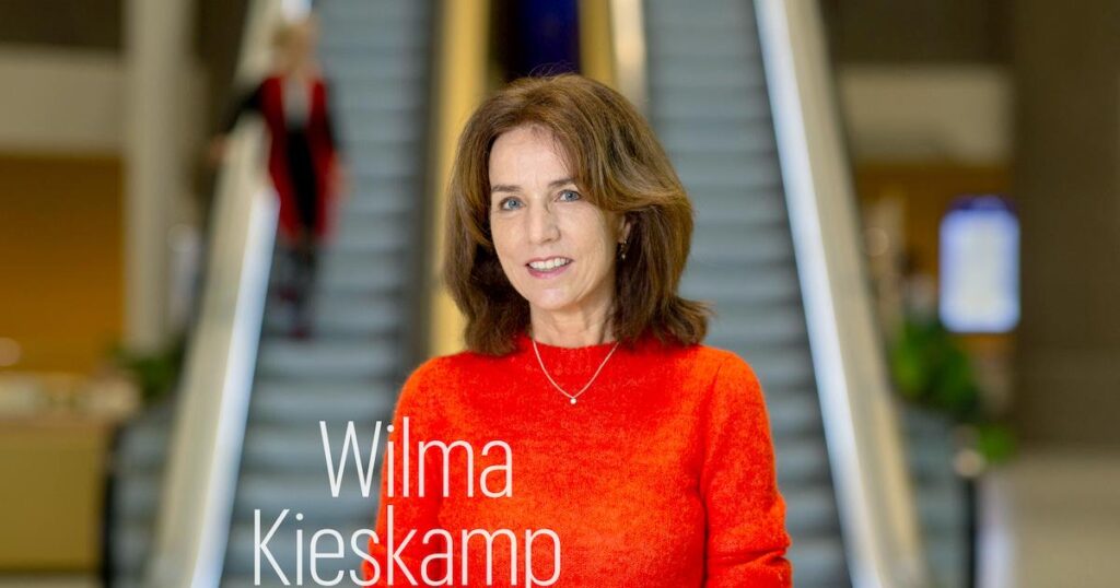 下院の警戒のおかげで DigiD は救われる