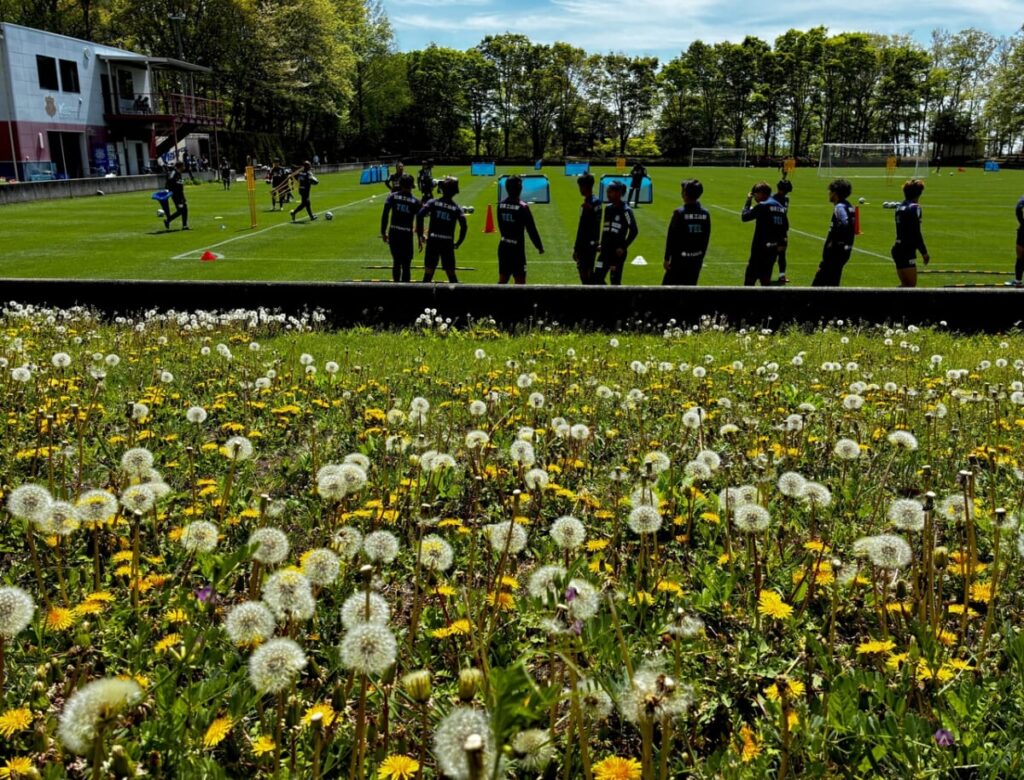 無料記事 ”コーヒーは豆で買う？粉で買う？”「マキネッタ研究所」【主夫の部屋】 : 山梨フットボール