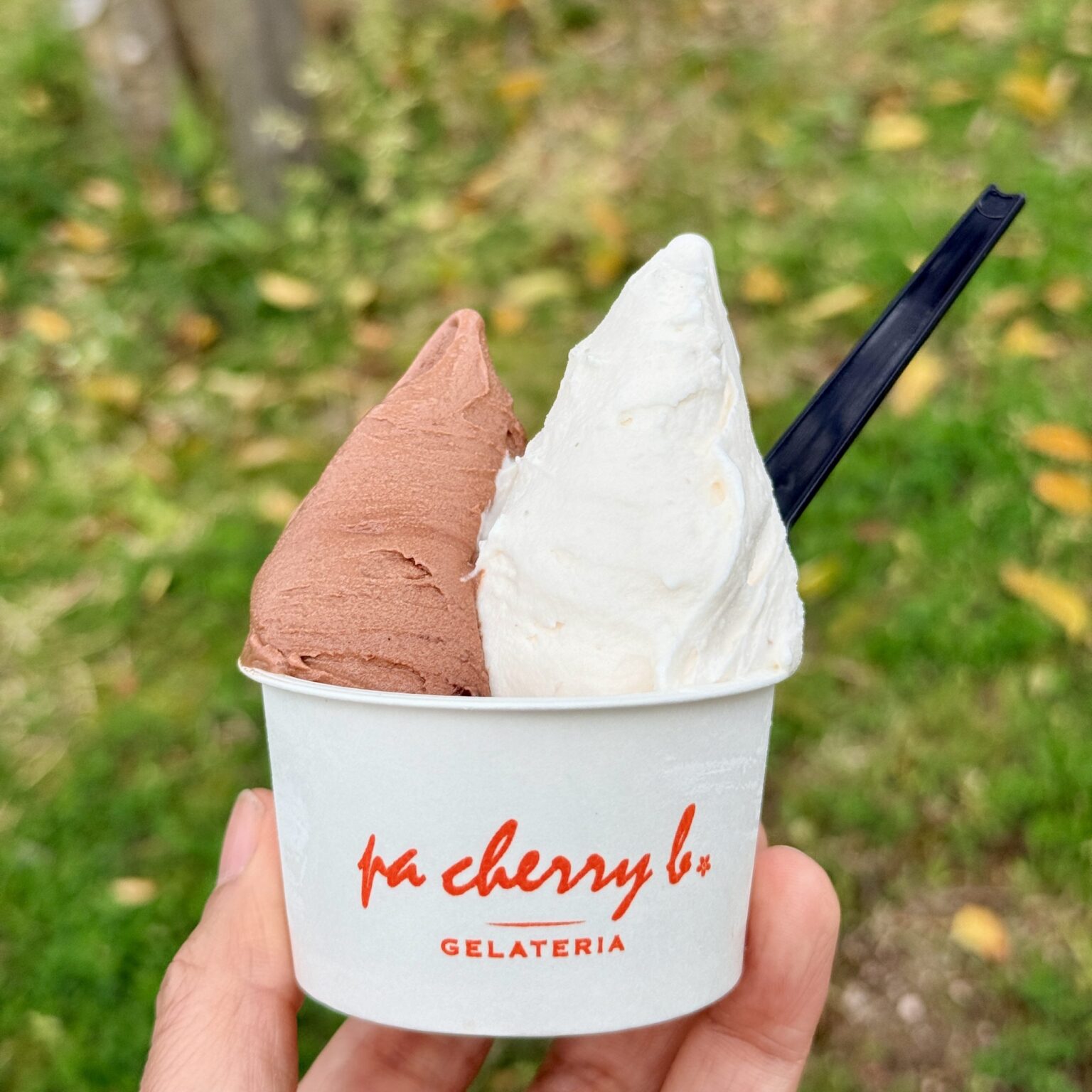 観光名所にもなっているジェラート店「GELATERIA pa cherry b.（パッチェリービー）」 | 鳥取マガジン
