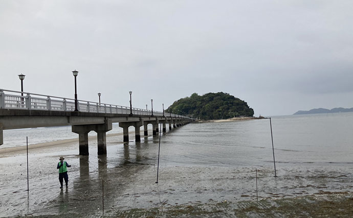 「わずか40分で規定量到達！」愛知県内有数の潮干上がりポイント『竹島海岸』で良型アサリがザクザク