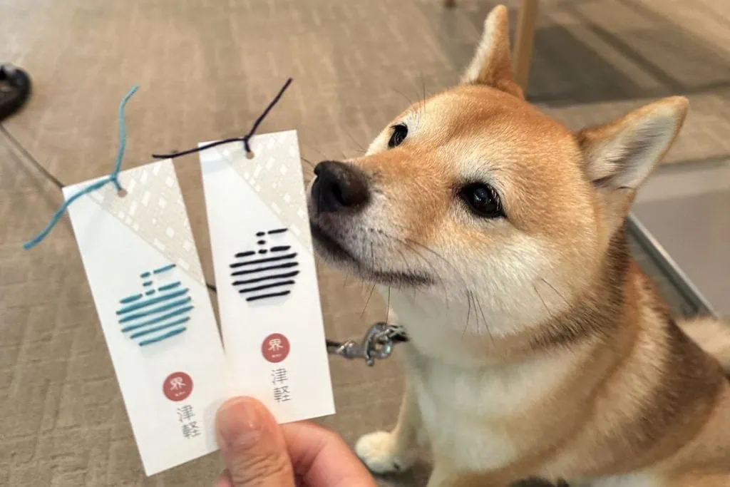 【犬旅・青森津軽観光＆宿泊編】 弘前城さんぽや絶品アップルパイ、ドッグラン付きカフェをナビゲート：豆柴・まもるくんの旅日記