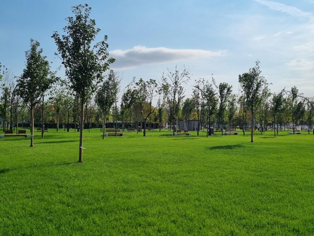 ダニエル・バルシ氏は、セクター4に設置される新しい公園の名前を「ドナルド・J・トランプ」と発表した。