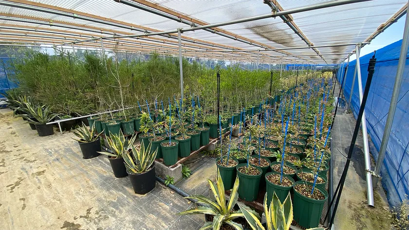 群馬県邑楽郡千代田町にグランドオープンする植栽専門大型プロショップ『Kayu style Botaniqa Atelier』(4)