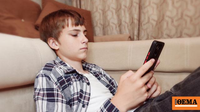 EUの年齢確認アプリに重大なセキュリティ欠陥、ハッカーが2分で「解読」