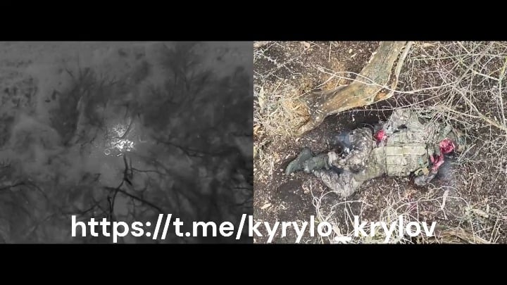 残忍なドローンがロシア歩兵とアフリカ人傭兵1名に投下。 2026 年 3 月。