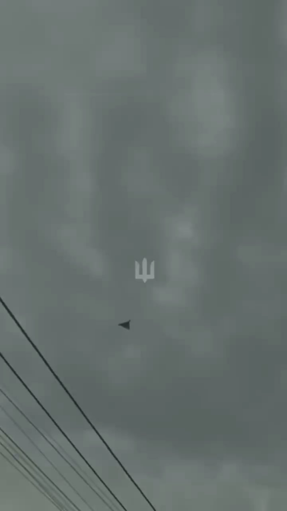 ロシアのシャヘドが、騎馬のウクライナ軍DFTG1射撃集団によって空から連れ出される。キエフ地方オブヒウ - 2026 年 4 月