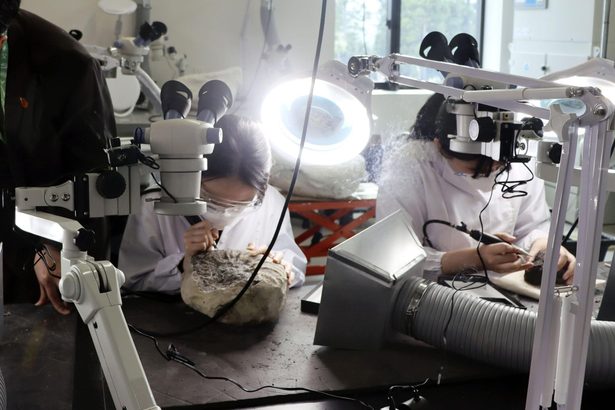 恐竜学部、拠点開設　福井県立大に新キャンパス
