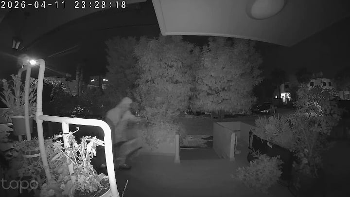 イースターポーチの泥棒