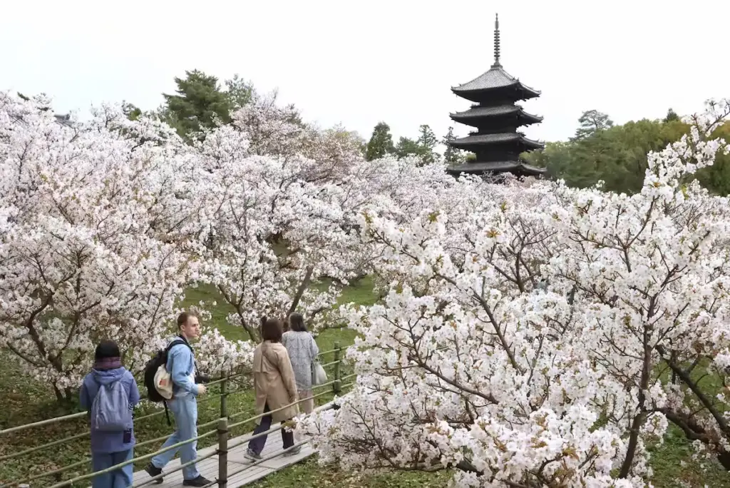 OL3GK6PGF5ORXD6CJ6IBYD3UBU